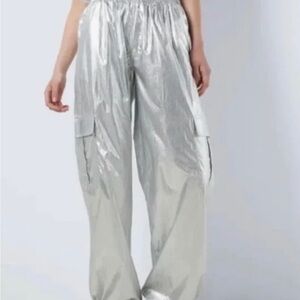 Sincerely Jules Silver Wide Leg Pants